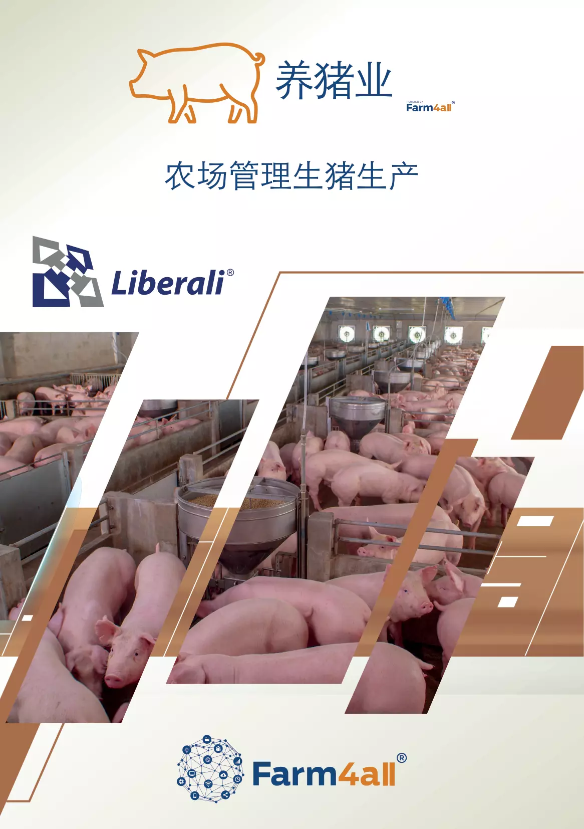 15192 G LIBERALI LAMINA COMERCIAL SUINOCULTURA CHINES A5 RFD 1